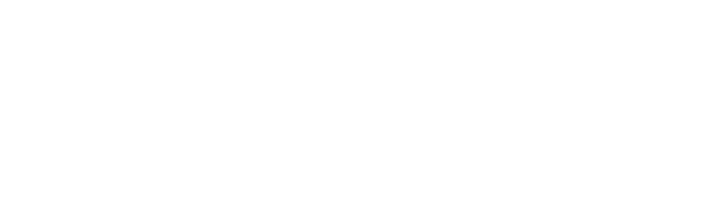 Salzgitter AG Logo in weiß