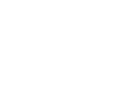 ThyssenKrupp - Kundenprojekt