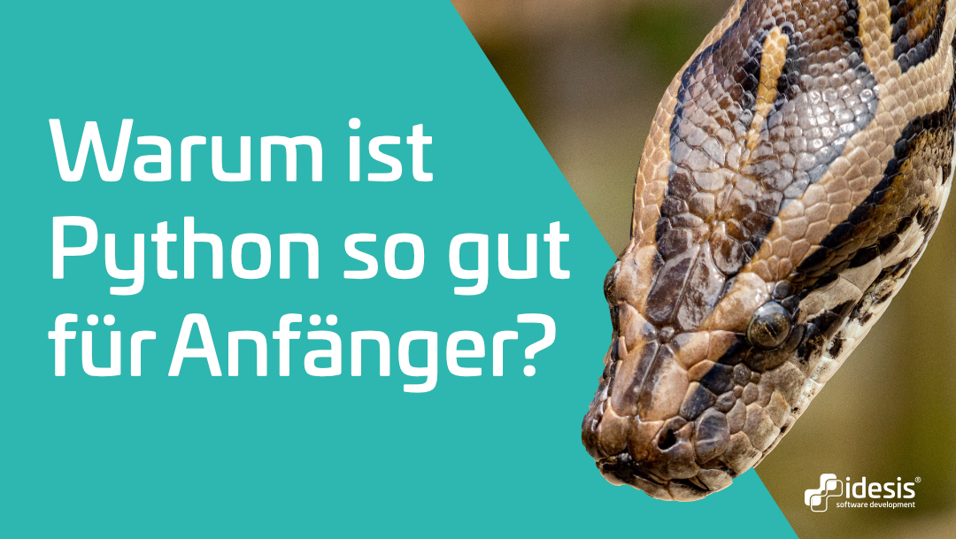 Eine Python, neben der Frage, warum Python so gut für Anfänger ist.