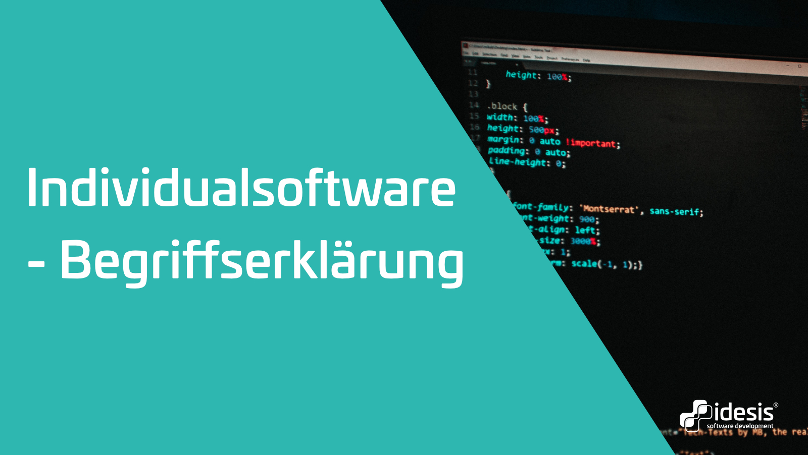 Ein Bildschirm auf dem Code zu sehen ist, neben dem Titel: Individualsoftware - Begriffserklärung